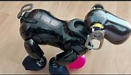 Astro the Aibo ERS-7 - Mind 3 Clinic Mode - All Checks