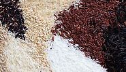 A Comprehensive Guide to Rice Varieties