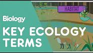 Key Ecology Terms | Ecology and Environment | Biology | FuseSchool