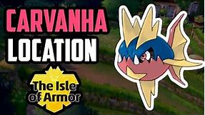 How to Catch Carvanha - Pokemon Sword & Shield (DLC)
