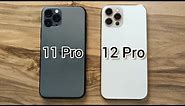 iPhone 11 Pro vs iPhone 12 Pro / iOS 16 - 2023