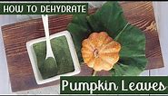 How to Dehydrate Pumpkin Leaves and Make Green Pumpkin Powder