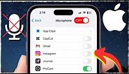 How To Turn Off Microphone On iPhone (2024)