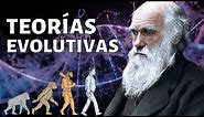 Las TEORÍAS EVOLUTIVAS explicadas: Leclerc, Lamarck, Wallace, Darwin, otros🦒