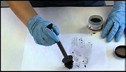 Developing Latent Fingerprints with Magnetic Powder
