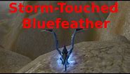 Storm-Touched Bluefeather -PET- Dragonflight - you can catch him only when elemental storm is active