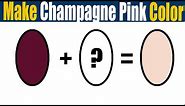 How To Make Champagne Pink Color What Color Mixing To Make Champagne Pink