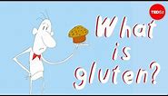 What’s the big deal with gluten? - William D. Chey