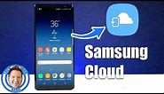 Samsung Cloud Backup & Restore for S8, S8+ & Note 8