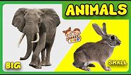 Big and Small Animals | Animals | CBSE Class 3 EVS | Basic English for Kids