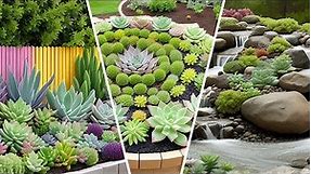 10 Outdoor succulent garden ideas #2044