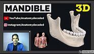3D Mandible Anatomy | Mandible (Bone of Lower Jaw) | Anatomy Decoded | Anatomy Lectures