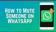 How to Mute Someone on WhatsApp | WhatsApp Guide Part 5
