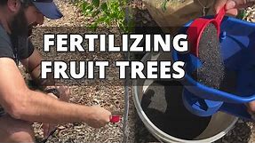 How and When to Fertilize Fruit Trees - Back Yard Orchard