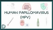 Human Papillomavirus (HPV) And The Mouth | Definition, Aetiology, Risks, Diagnosis and Management