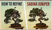 How to Refine a Sabina Juniper Bonsai