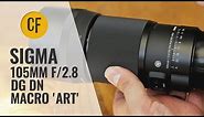 New: Sigma 105mm f/2.8 DG DN Macro 'Art' lens review (Full-frame & APS-C)
