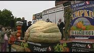 Massive 2,560-pound pumpkin sets new US record for Halloween 2022