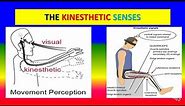 KINESTHETIC SENSES - Applied psychology for Nursing
