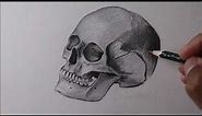 How to Draw a Realistic Skull