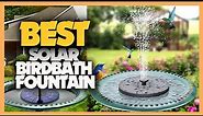 10 Best Solar Birdbath Fountains 2022