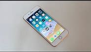 Apple iPhone 8 Plus - Full Review [HD]