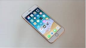 Apple iPhone 8 Plus - Full Review [HD]