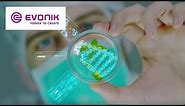 The Future(s) of the specialty chemicals industry | Evonik