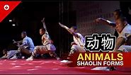 8 SHAOLIN ANIMALS Styles | INCREDIBLE Shaolin Kung Fu Warrior Monks Show
