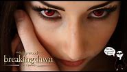 Breaking Dawn Part 2 Parody by The Hillywood Show®