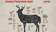 Deer Diagram: Complete Guide To The Cuts of Venison - North American Whitetail
