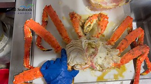 🌊 How to Clean Fresh-Cooked King Crab — Easy Step-by-Step Guide If you enjoy premium King Crab at home, here’s a simple way to clean it fast without wasting any meat. This method works for Red, Golden, or Blue King Crab and keeps every piece tender, clean, and ready for your dinner table. In this guide, we show: ✔️ How to open crab legs the easy way ✔️ How to separate claws and knuckles ✔️ How to remove body meat cleanly ✔️ Tips for serving King Crab at home ✔️ How to store leftovers the right 