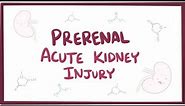 Prerenal acute kidney injury (acute renal failure) - causes, symptoms & pathology