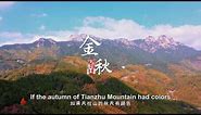 Tianzhu Mountain in the Golden Autumn