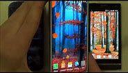Autumn leaf fall live wallpaper for android phones and tablets