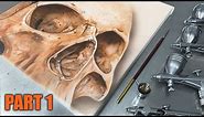 Airbrushing a Realistic Skull | Bone Textures | Part 1