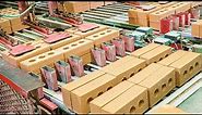 Korean Brick Making Process With German Technology. Automated Brick Factory In Korea