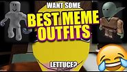 The Best MEME Clothing Items On Roblox! (Funny Roblox Outfits)