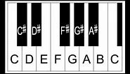 Piano Lesson - The Sharp Sign, Sharp Notes and Half Steps