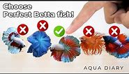 How To Choose A Best Betta Fish