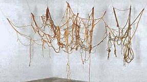 Hesse, Untitled (Rope Piece)