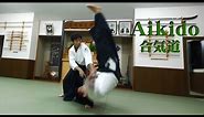Aikido - It's a Beautiful Martial Arts