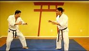 Shorin Ryu Karate applications