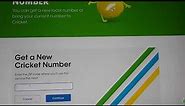 Cricket Wireless Prepaid Phone Activation | How to activate a cricket smartphone by yourself