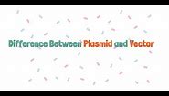 Difference Between Plasmid and Vector.