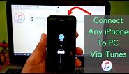 How To Connect Any iPhone(4/4s/5/5s.....) To PC Via iTunes Latest Working