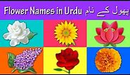 Learn Flower Names in Urdu and English | پھول کے نام | Rhymes Collection for Kids