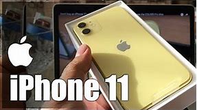 iPhone 11 Yellow 64GB Unboxing & Fast Setup MWLA2LL/A A2111 Factory Unlocked