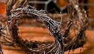 Dried Natural Grapevine Twig Garland - DIY Craft Rustic Vine Wreaths, and Swags (15 Foot Long x 1/2 inch Diameter) Decorate with Lights, Artificial, Live or Dried Flowers by Factory Direct Craft
