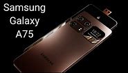 Samsung Galaxy A75 - First Look (Flagship Killer)